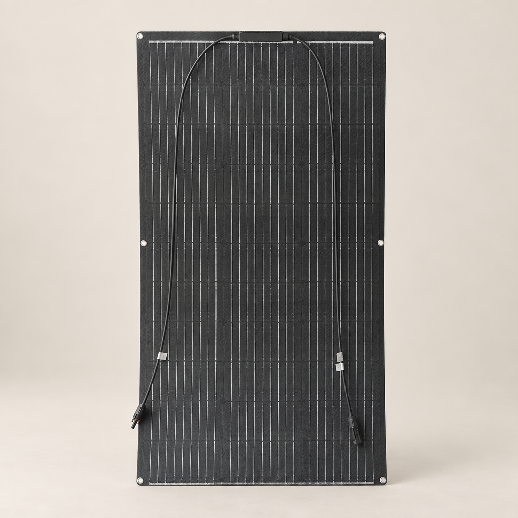 ETFE 100W panel