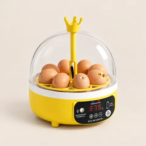 Clear-Lid Egg Incubator