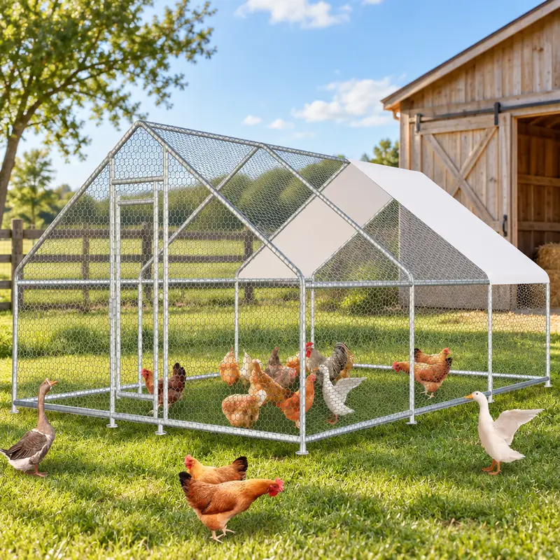 Walk-In Chicken Run - view 5