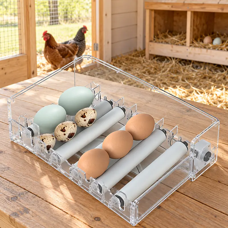 Automatic Egg Incubator - view 5