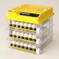108 Eggs