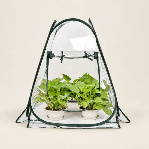 Pop-Up Greenhouse