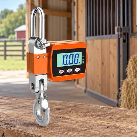 Digital Crane Scale — alternate view