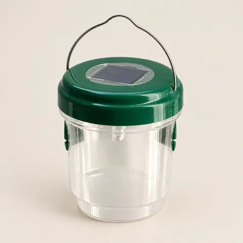 Solar Wasp Trap