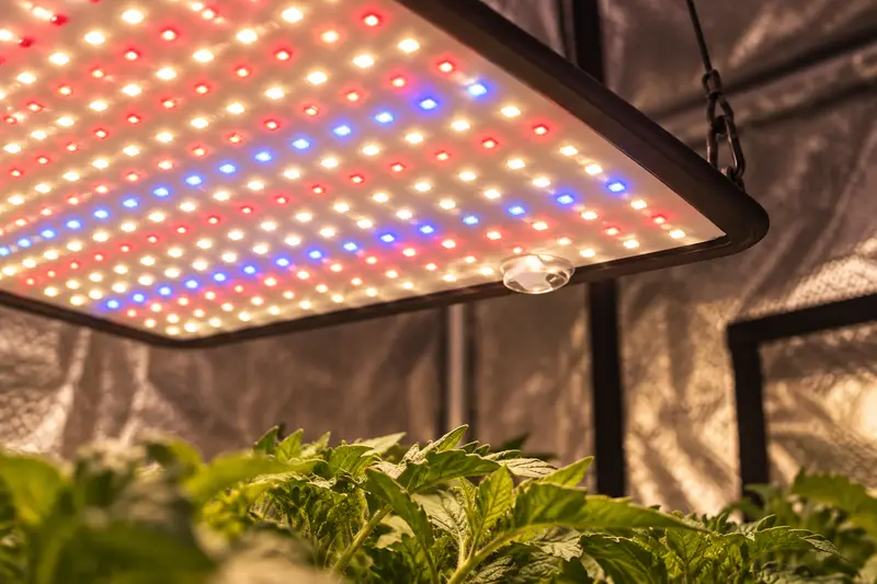 LED Grow Light Panel — Dark Grow Tent