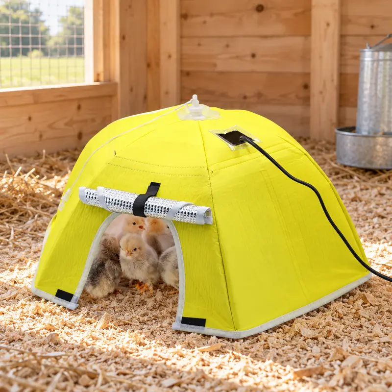 Heated Chick Brooder Tent - view 3