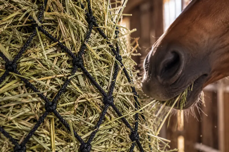 Small-Hole Hay Net — Dim Barn Feeding